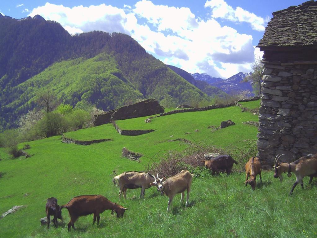Agri Scinghioera Villa Brontallo Exterior photo
