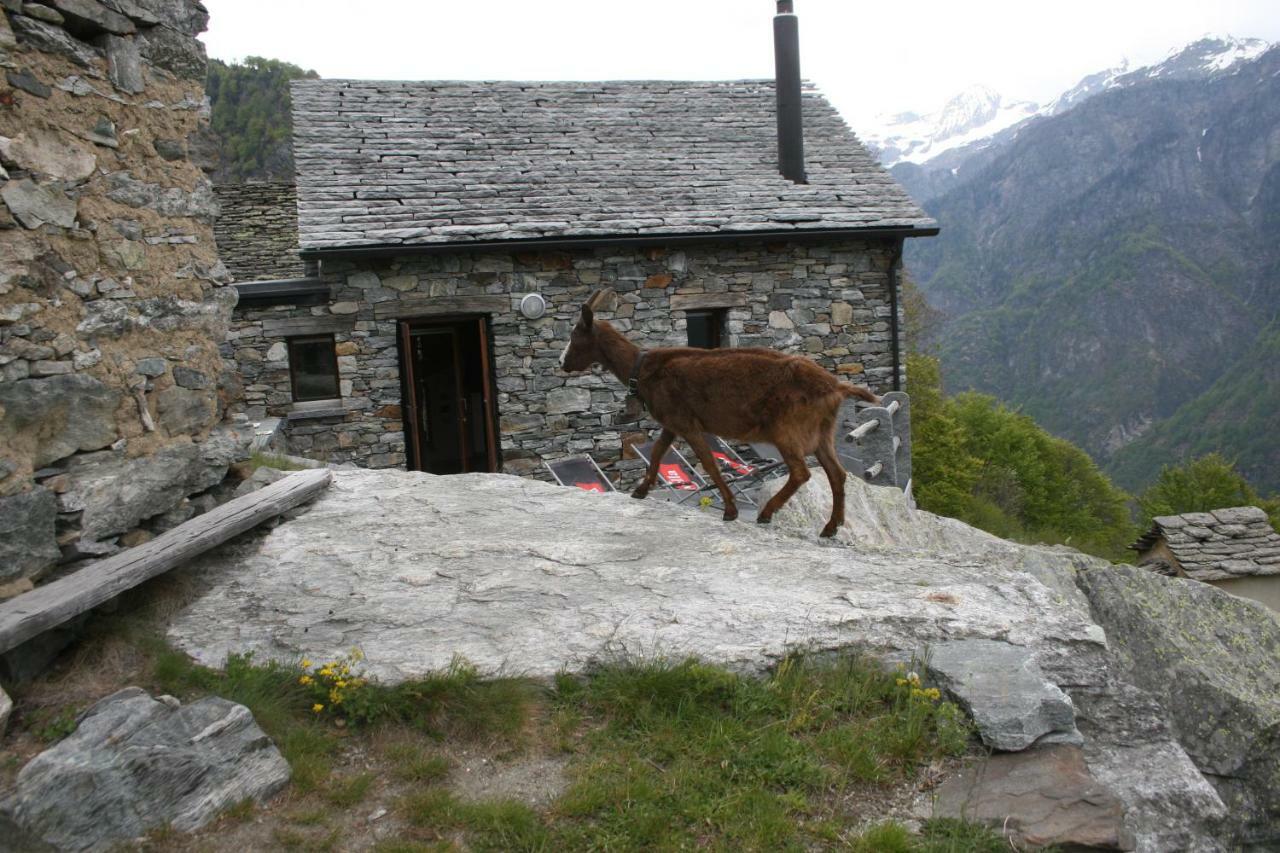 Agri Scinghioera Villa Brontallo Exterior photo